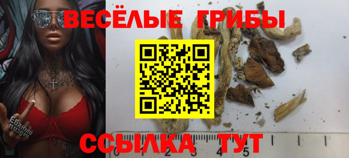 как найти наркотики  Псилоцибиновые грибы мухоморы  Вход с VPN  Северобайкальск  Галлюциногенные грибы ЛСД 